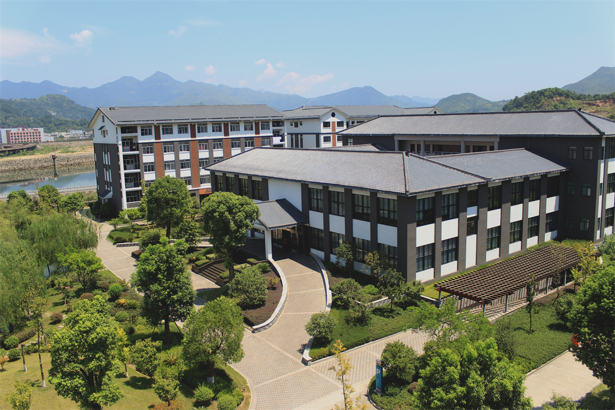 91香蕉视频宣传片